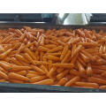 HIGH QUALITY WATER WASHED FRESH CARROT